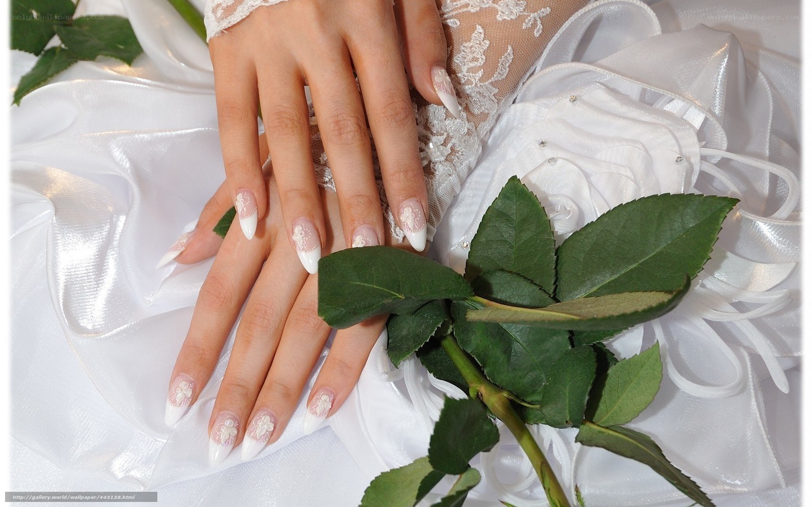 Bride's manicured hands with rose