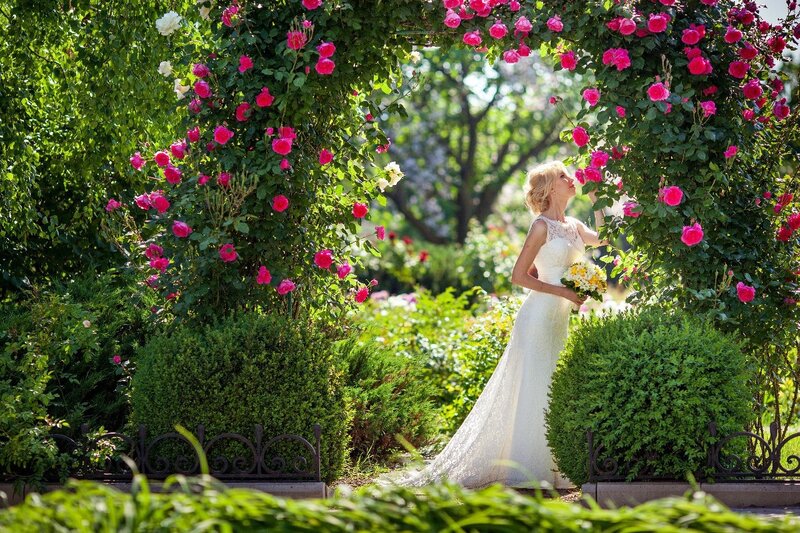 Bride under Rose Arch
