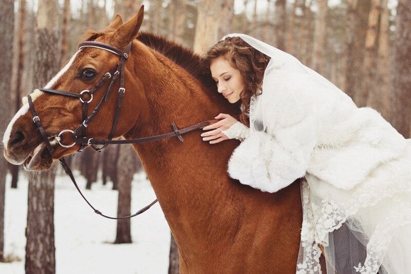 Bride with Horse — Brown