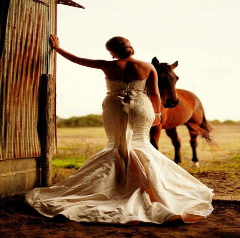 Bride with Horse