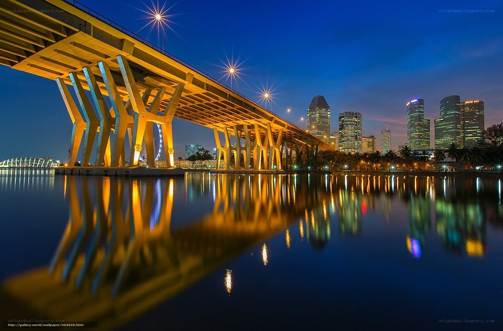 Bridge and city skyline at night