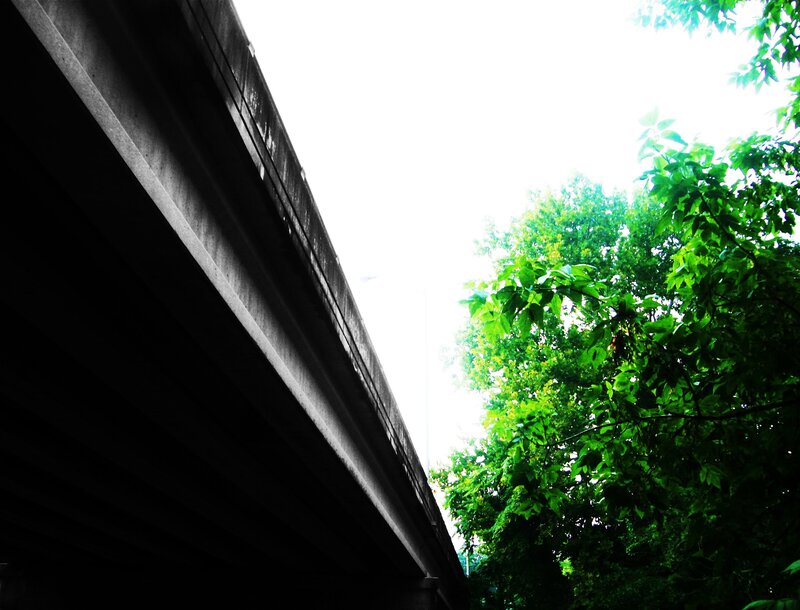 Bridge and trees view