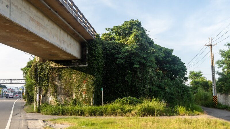 Bridge Covered in Ivy