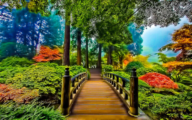 Bridge in a colorful garden
