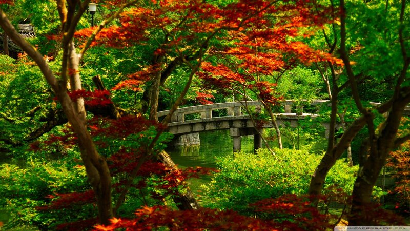 Bridge in a Japanese garden