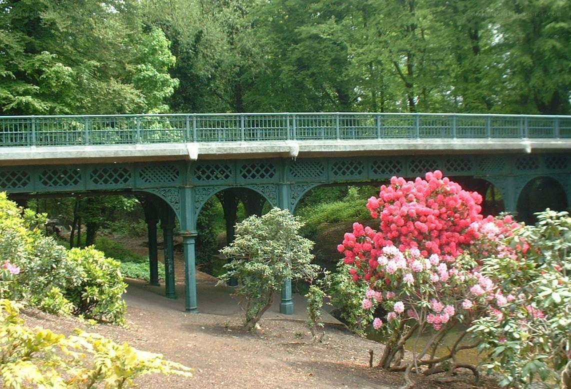 Bridge in a lush garden