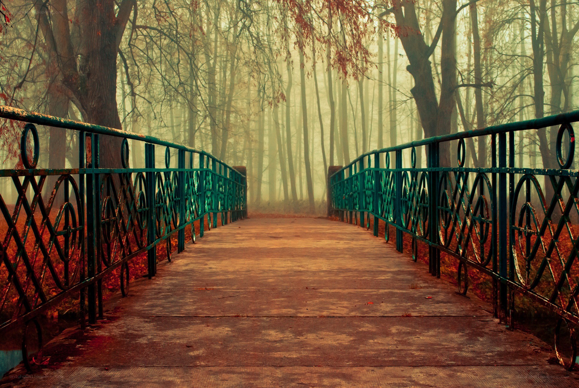 Bridge in a misty forest