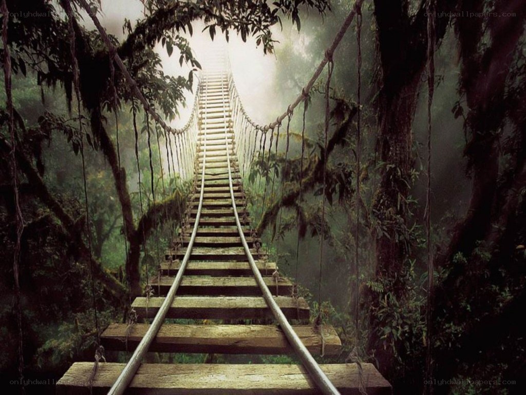 Bridge in a misty jungle