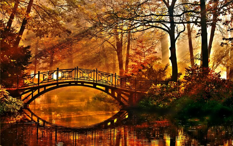 Bridge in Autumn Forest — Orange, Serene