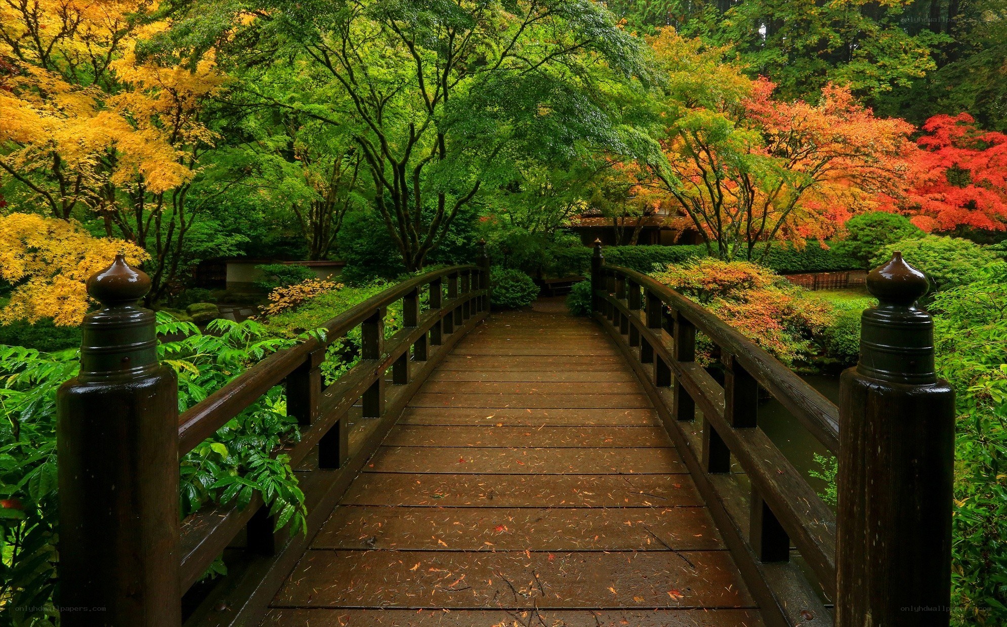 Bridge in autumn garden