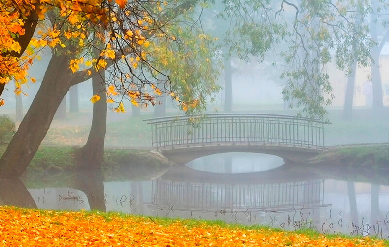 Bridge in Autumn Park — Orange