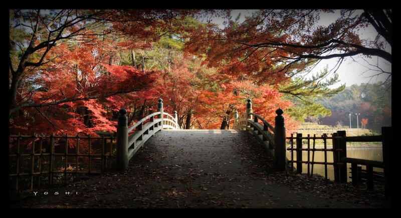Bridge in Autumn Park — Red, Serene