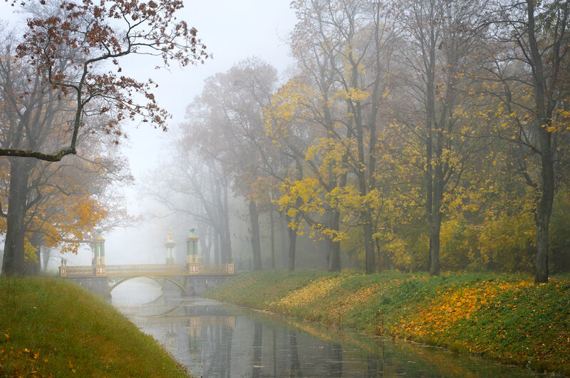 Bridge in Autumn Park — Yellow, Misty