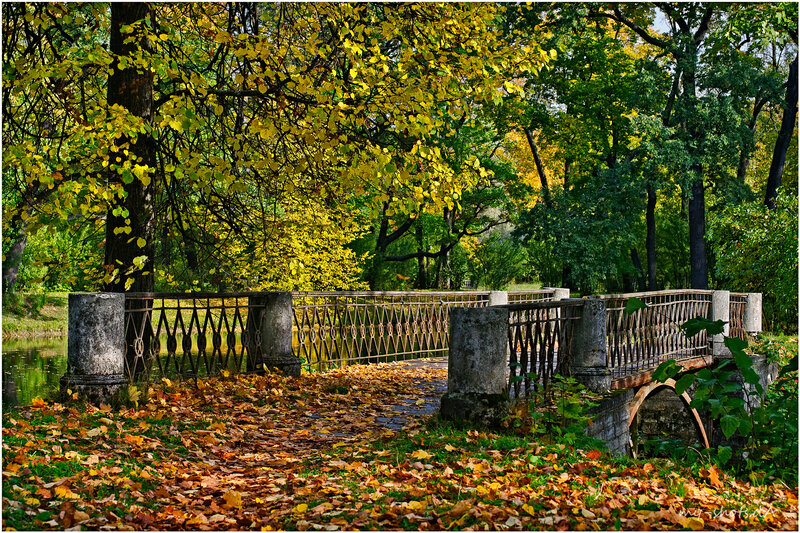 Bridge in Autumn Park — Yellow