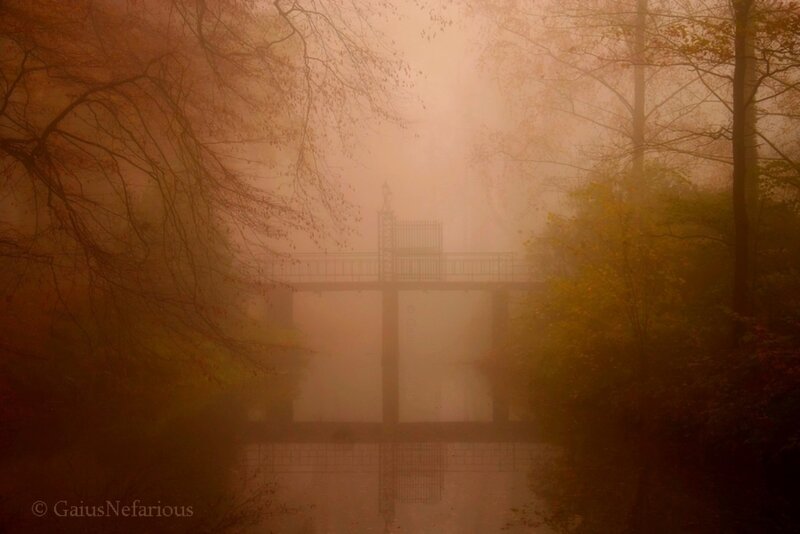 Bridge in Foggy Forest