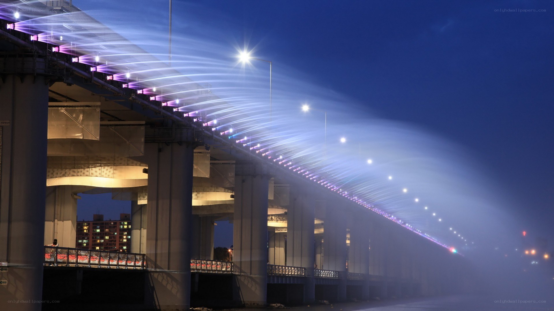 Bridge lights at night