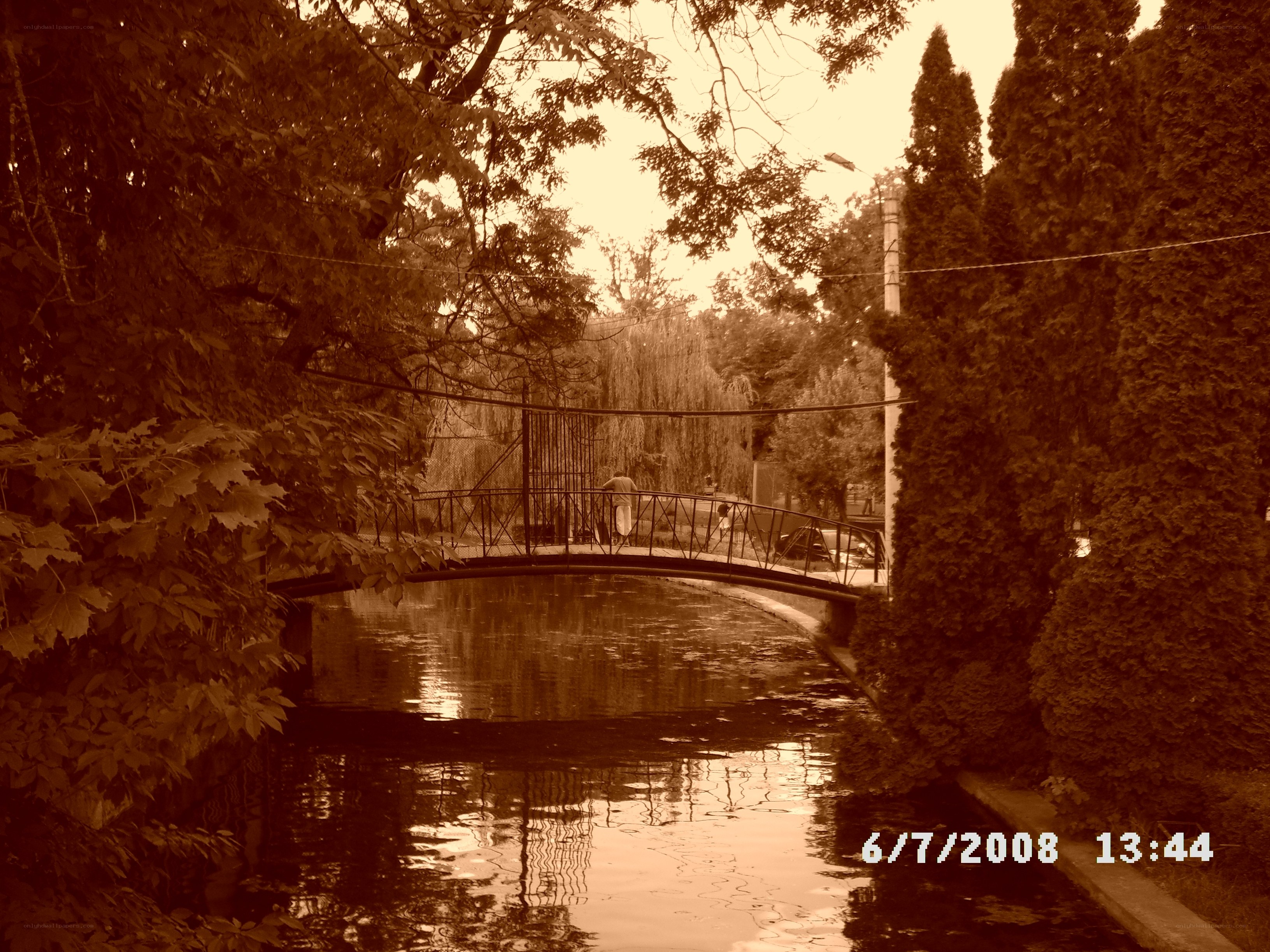 Bridge over a canal in a park