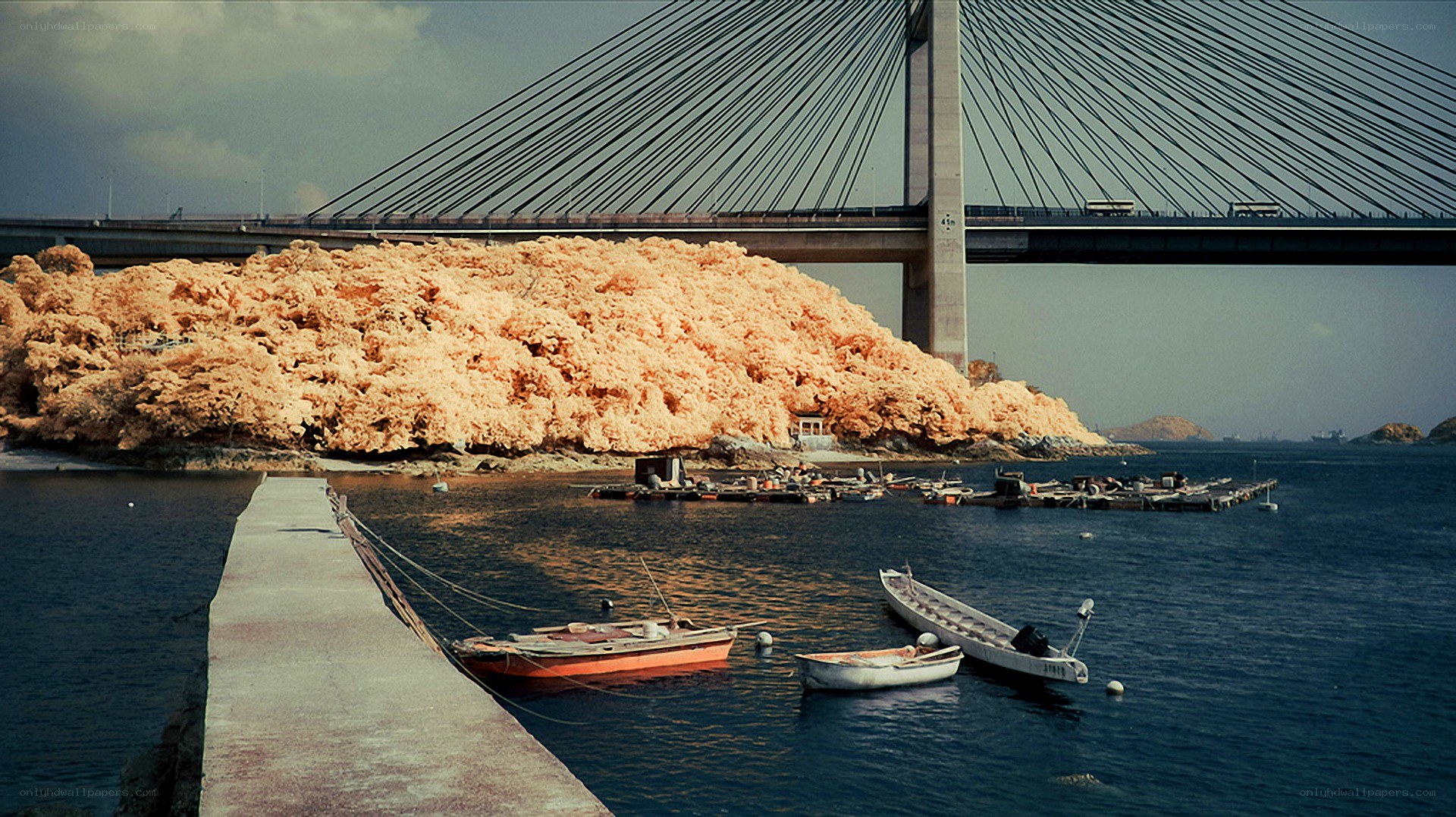 Bridge over a coastal inlet