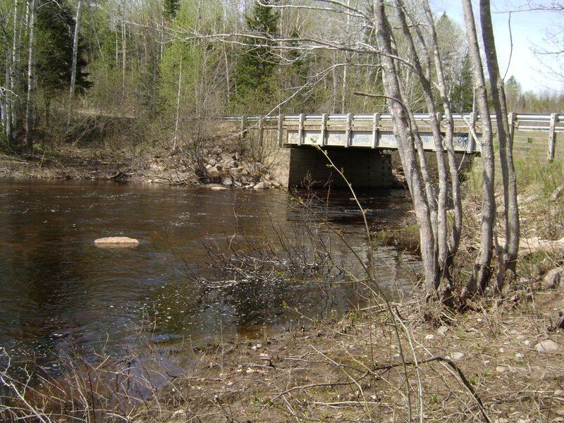 Bridge over a forest river