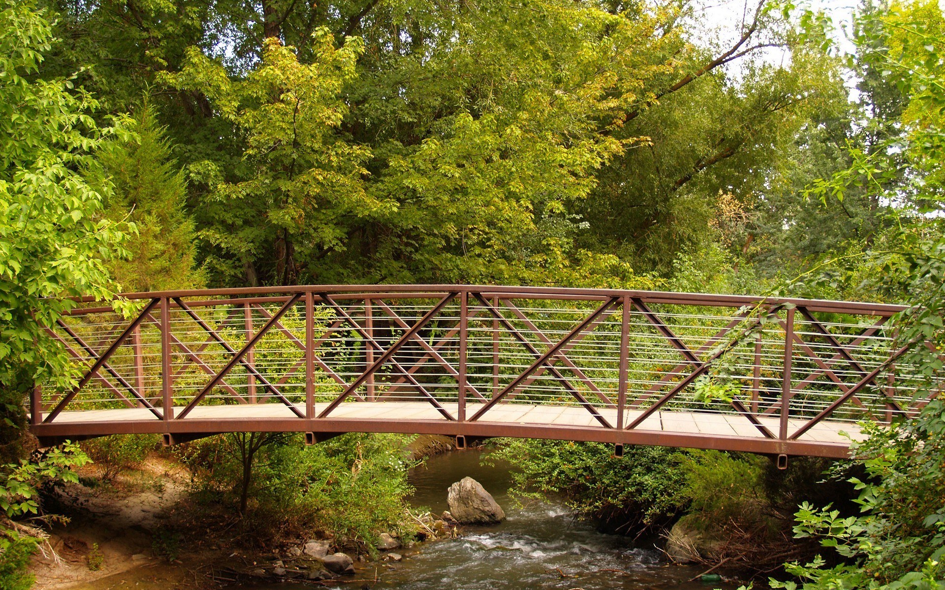 Bridge over a forest stream