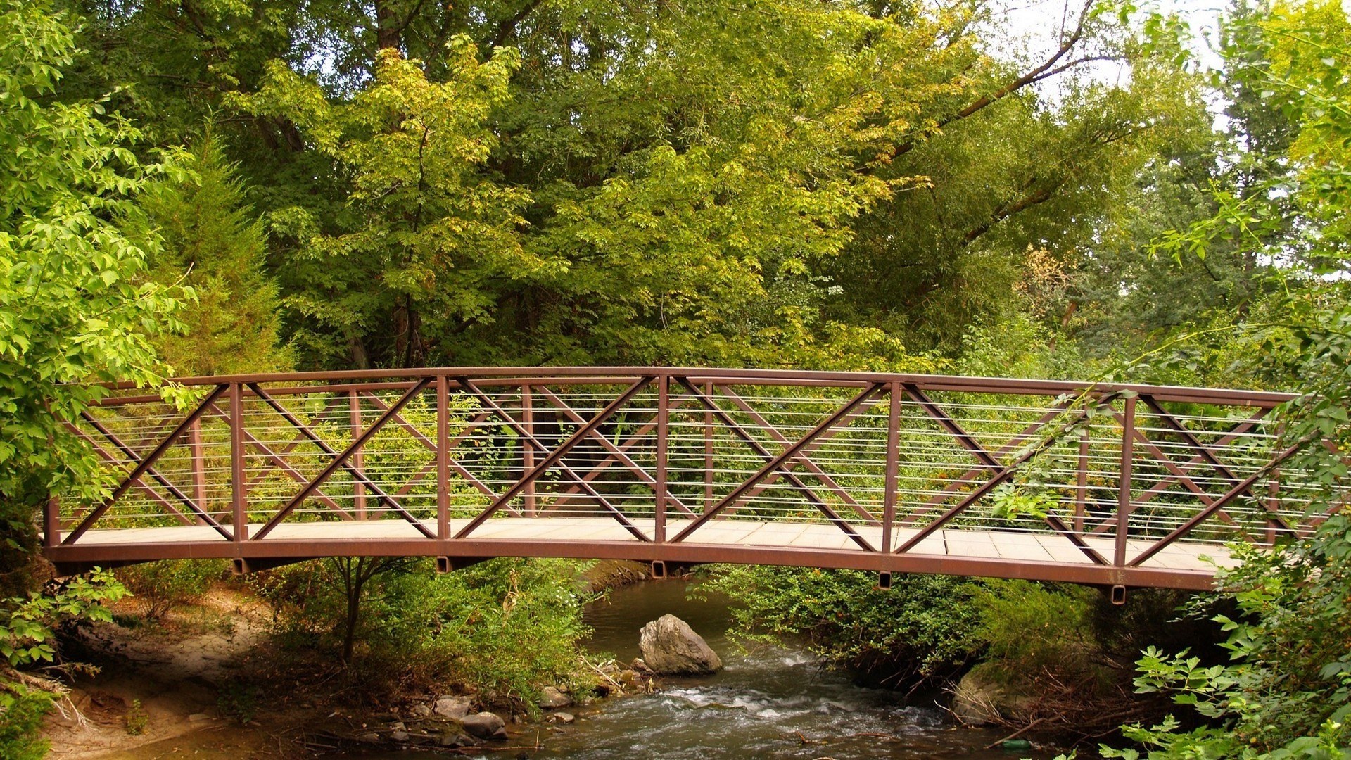 Bridge over a forest stream