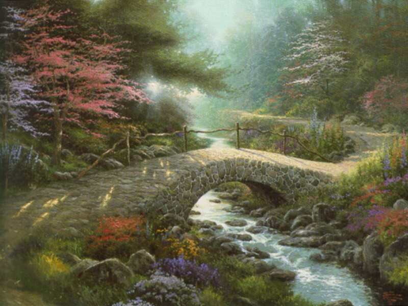 Bridge over a forest stream