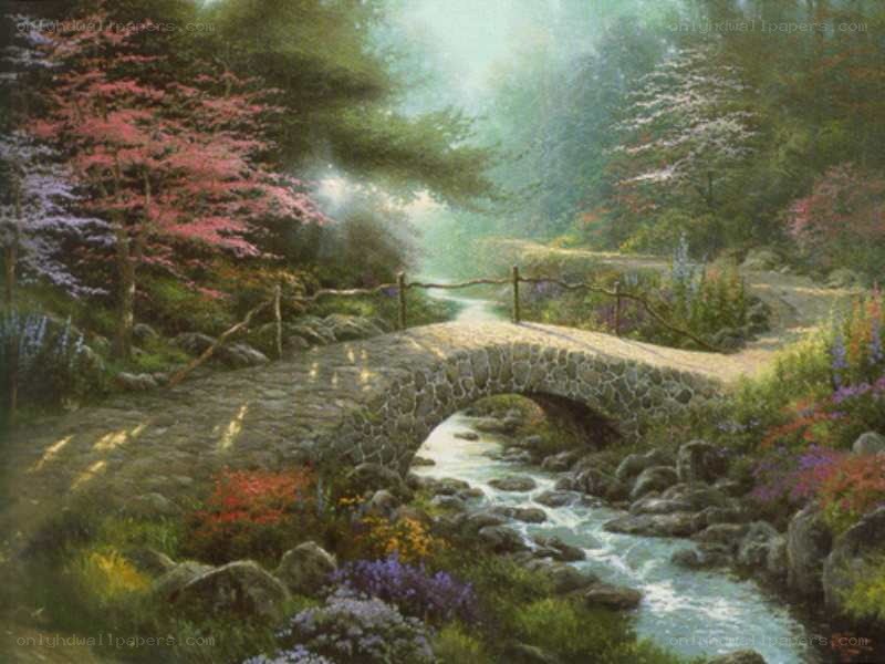 Bridge over a forest stream