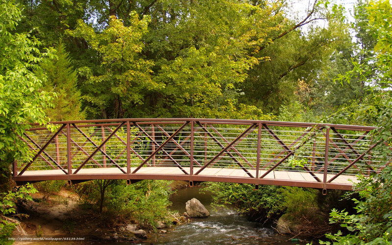 Bridge over a forest stream