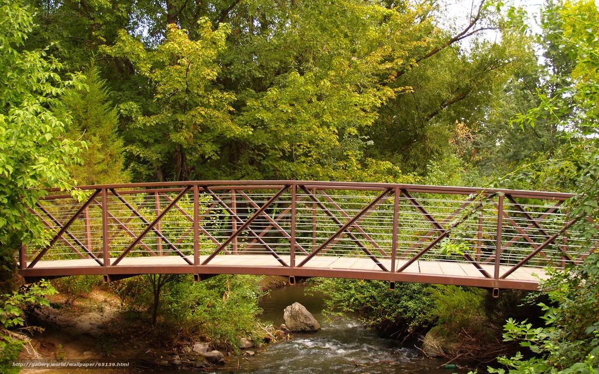 Bridge over a forest stream