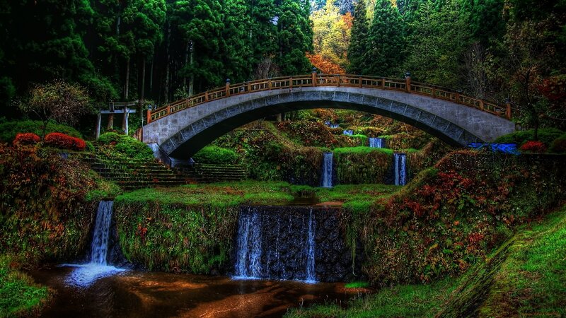 Bridge over a forest waterfall