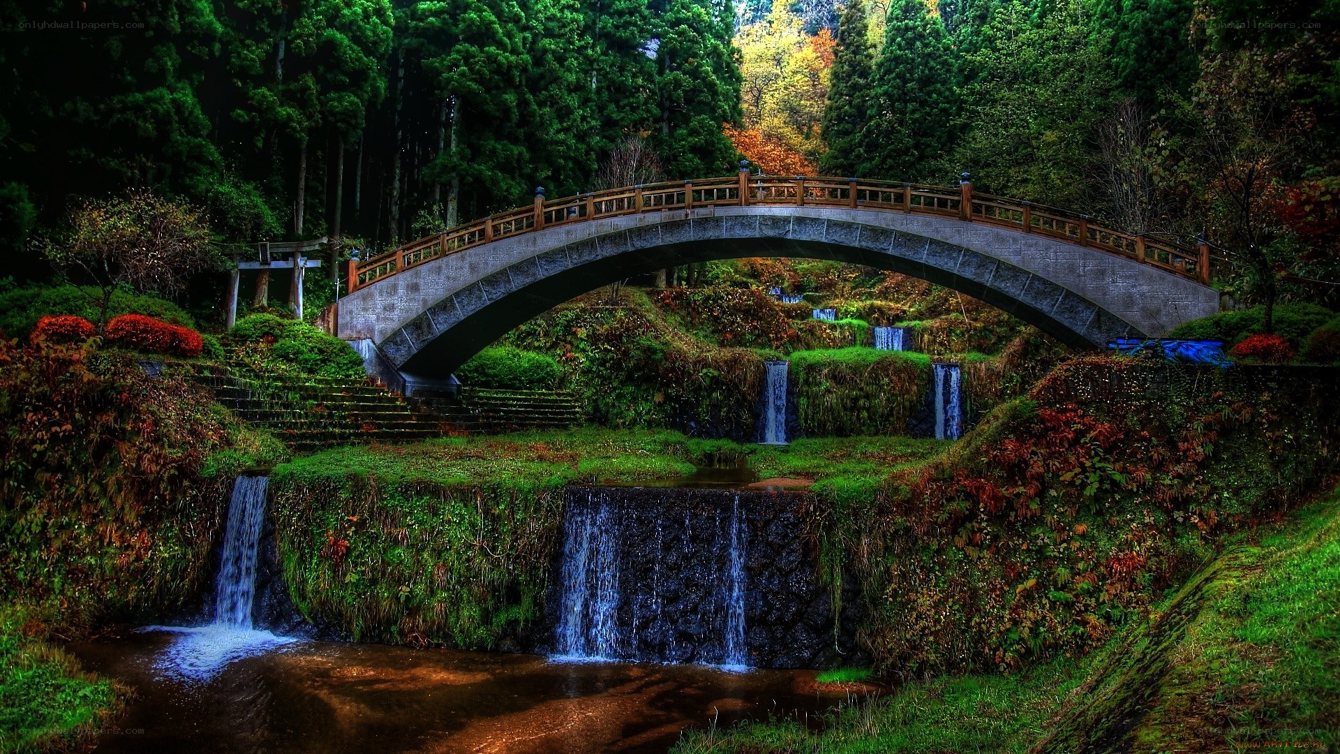 Bridge over a forest waterfall
