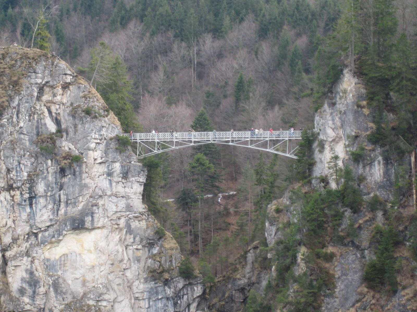 Bridge over a forested canyon