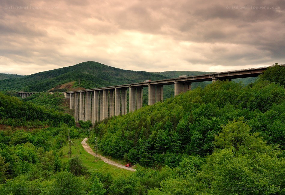Bridge over a forested valley