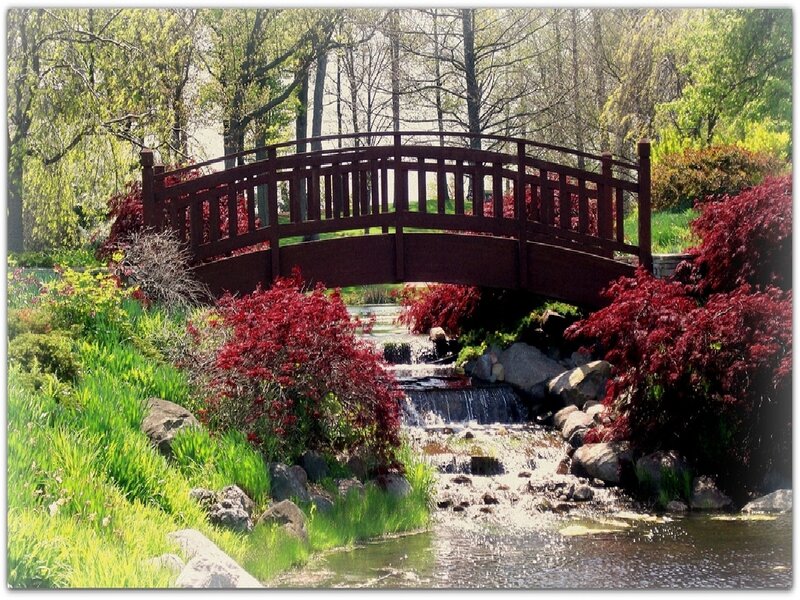 Bridge over a garden stream