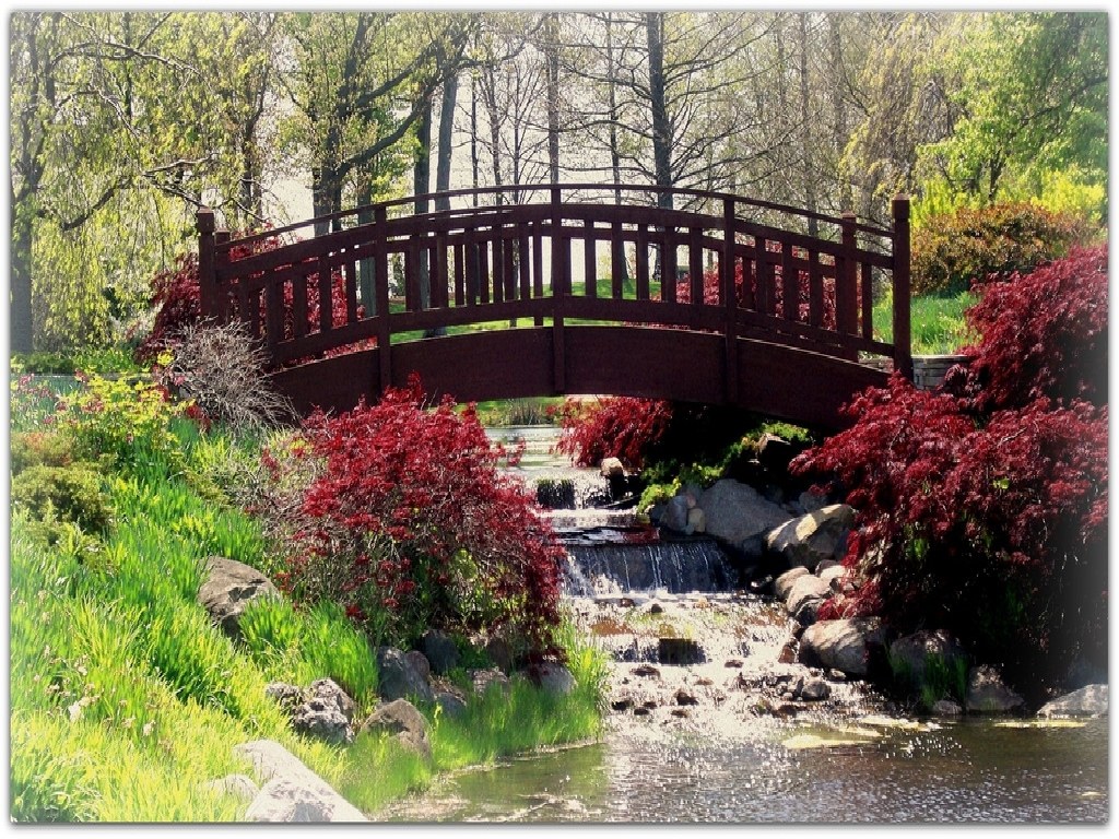 Bridge over a garden stream