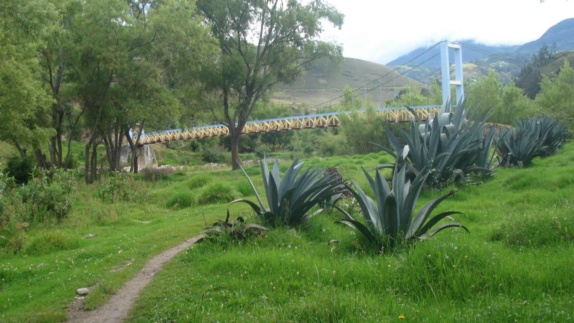 Bridge over a green valley
