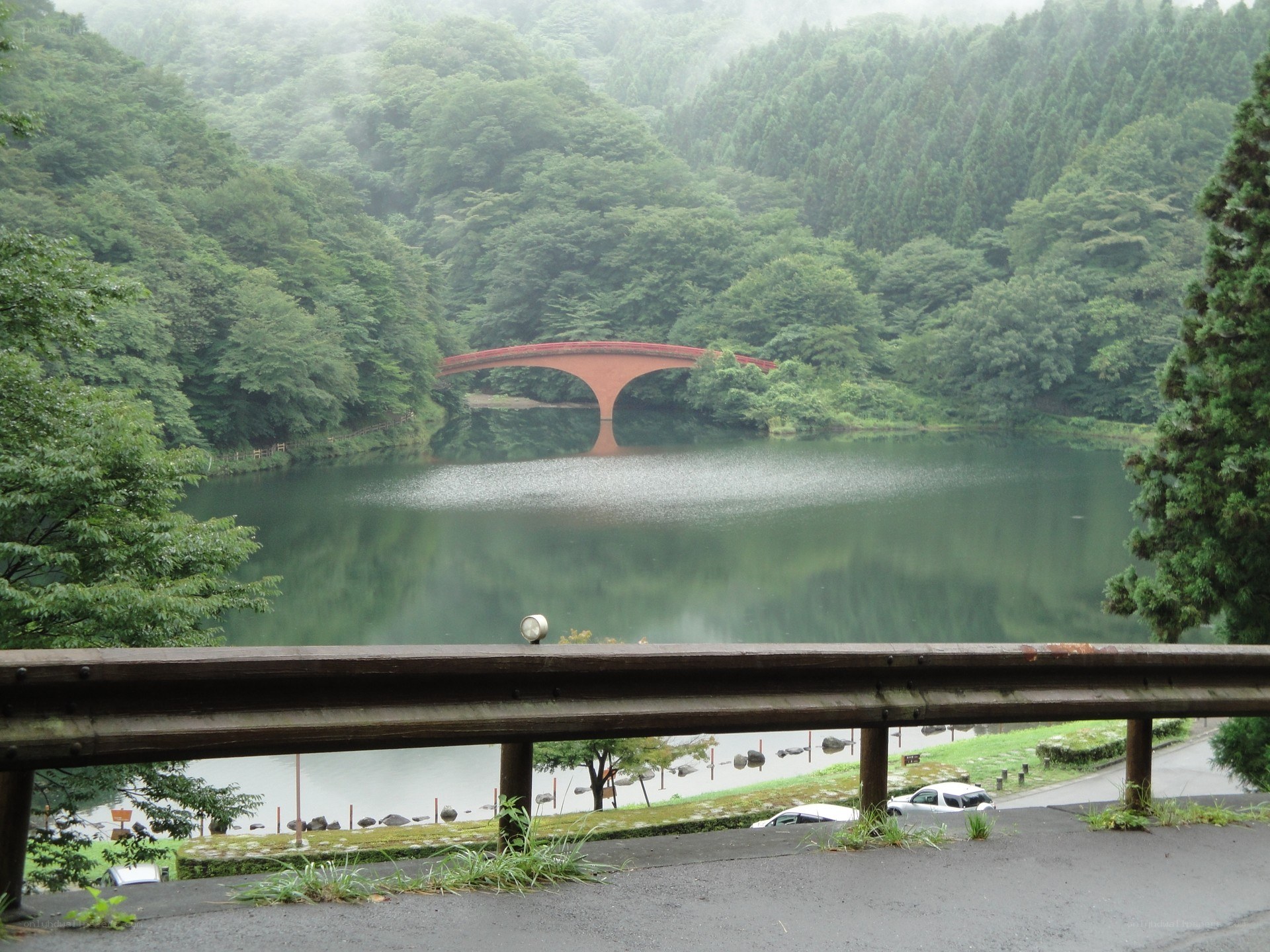 Bridge over a lake in a forest
