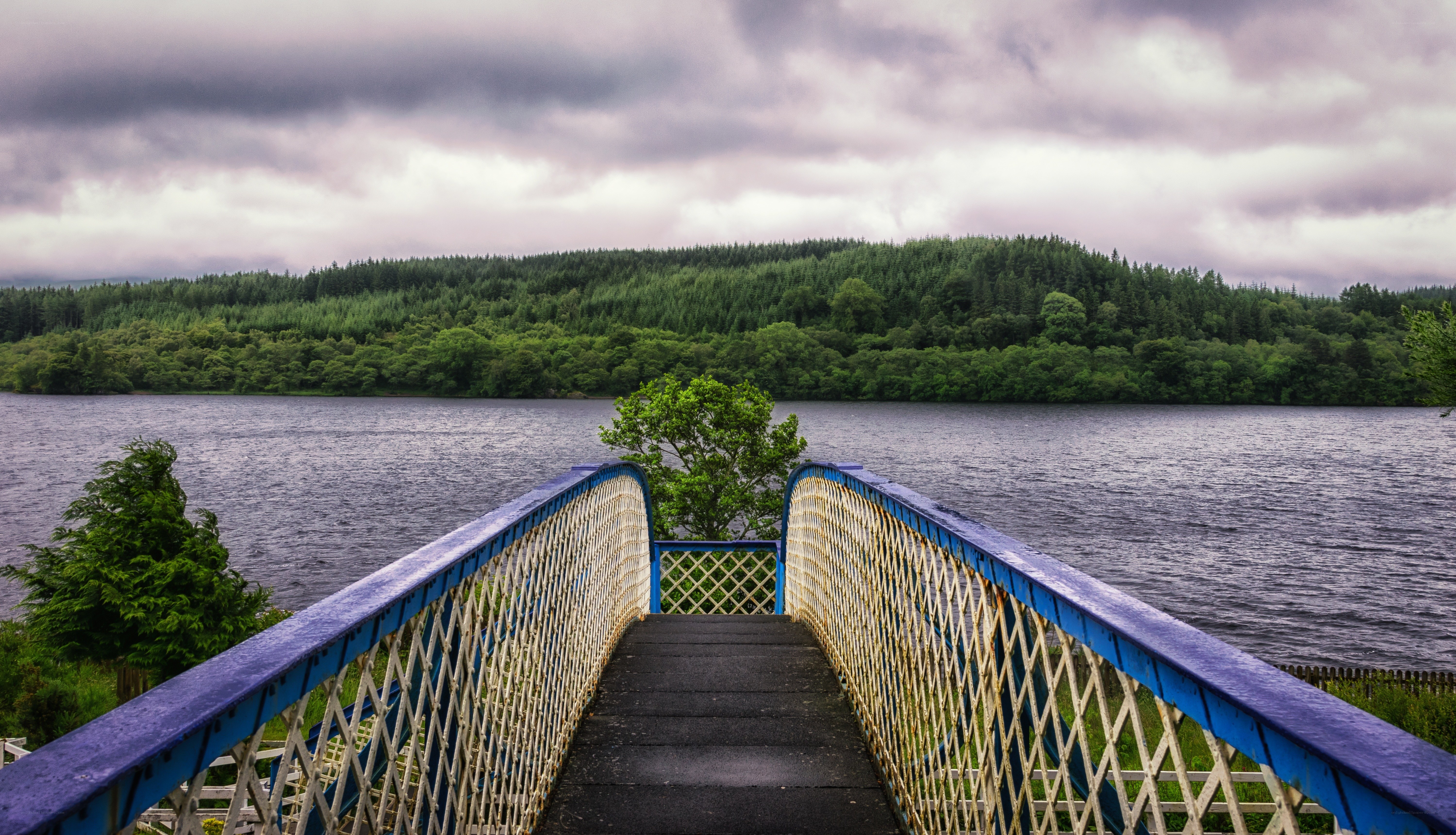 Bridge over a lake with forest
