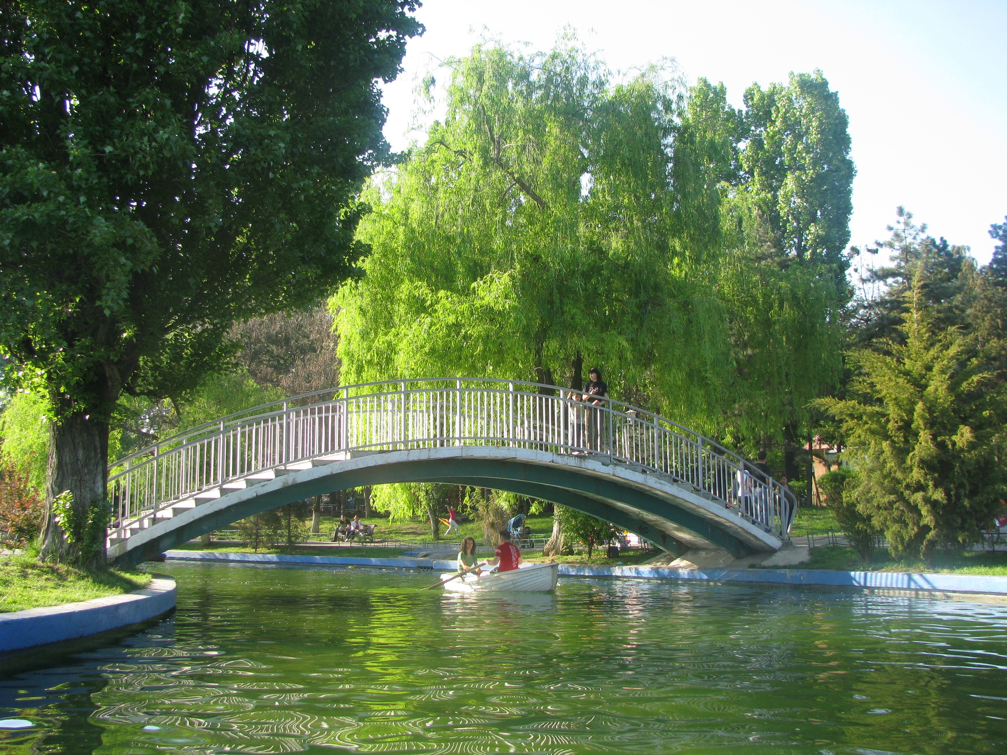 Bridge over a park pond