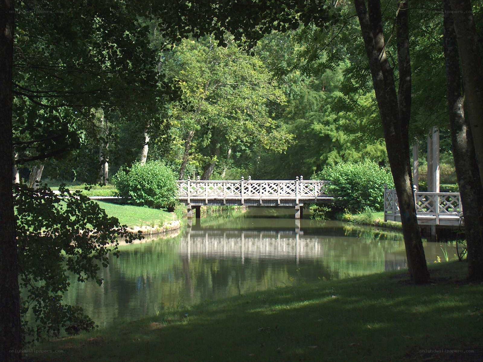 Bridge over a pond in a park