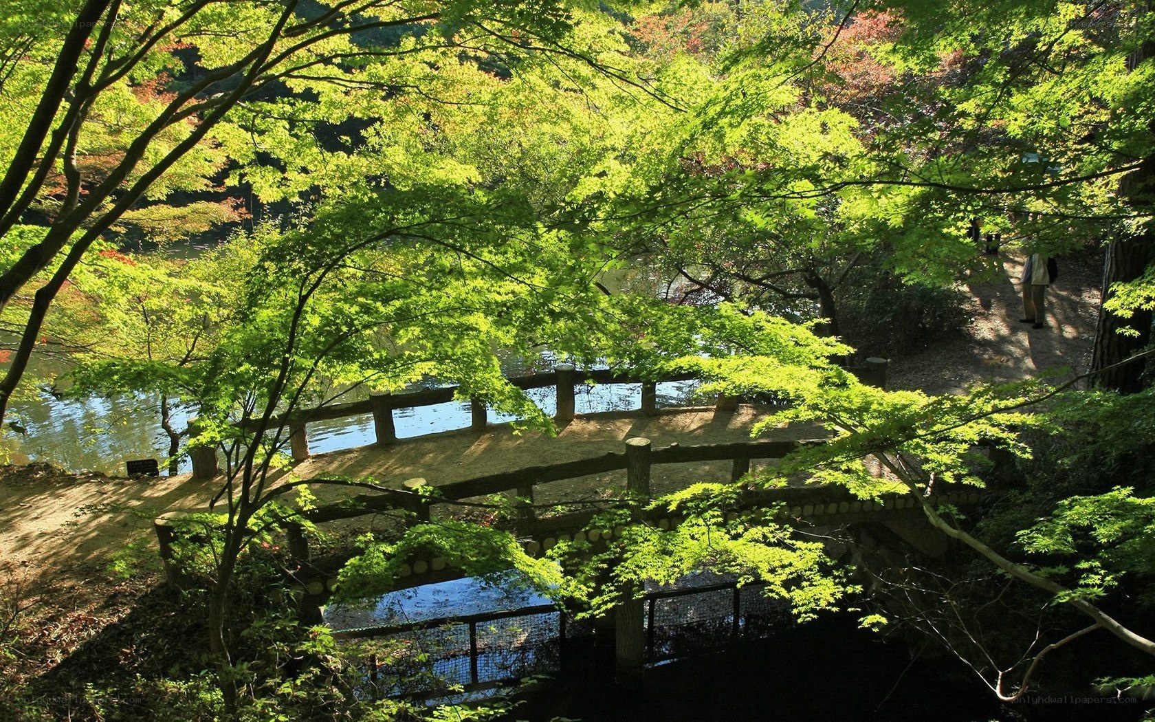 Bridge over a pond in a park