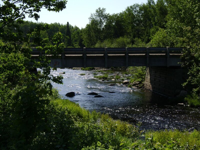 Bridge over a river in a forest