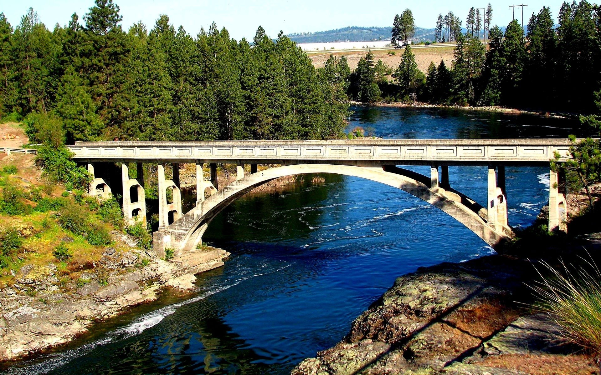 Bridge over a river in a forest