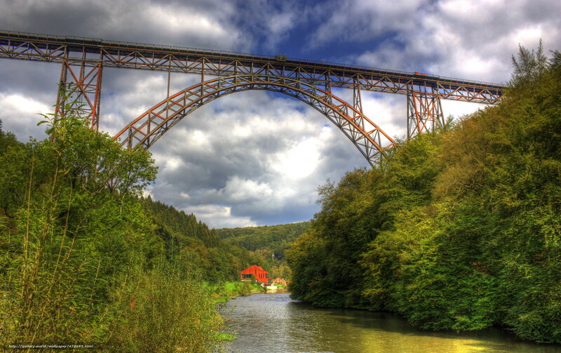 Bridge over a river in forest