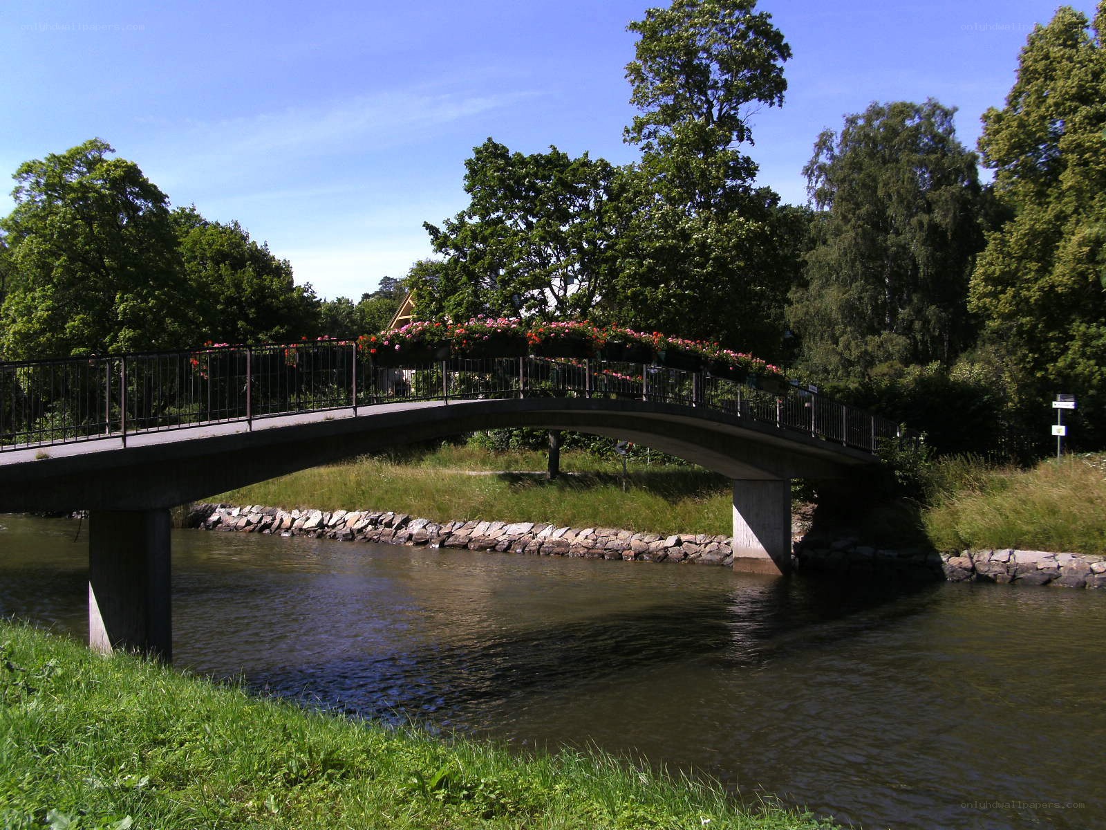 Bridge over a river with flowers