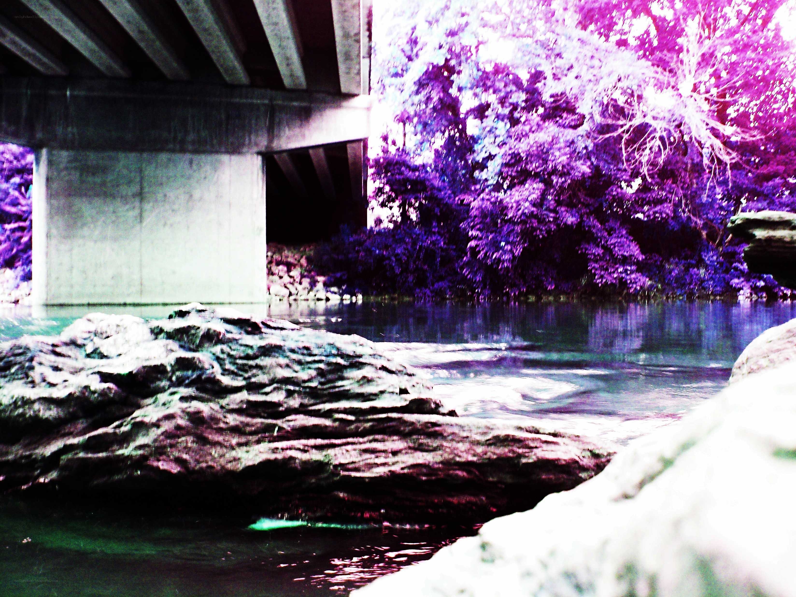 Bridge over a river with purple trees
