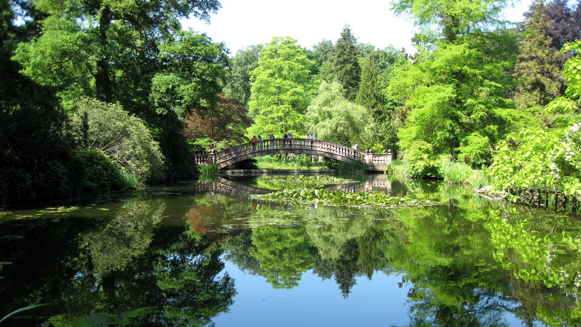 Bridge over a serene pond