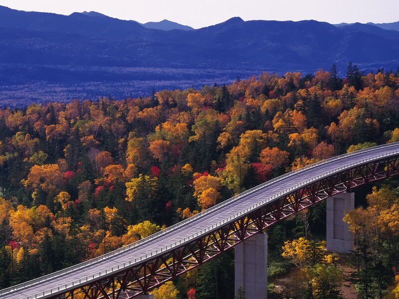 Bridge over Autumn Forest