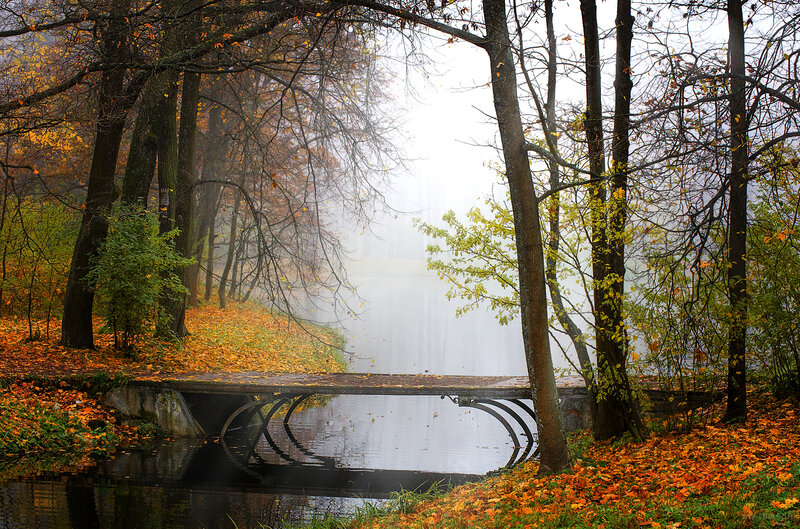 Bridge over Autumn Pond
