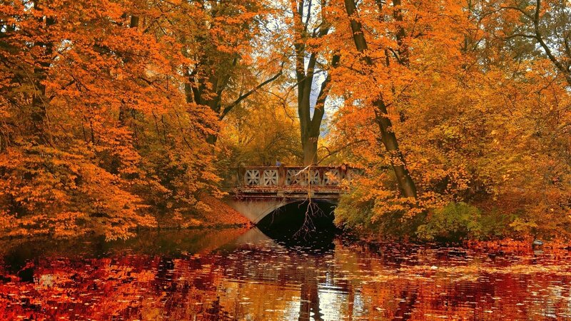 Bridge over Autumn River — Orange